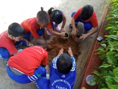 PLANTING ACTIVITIES